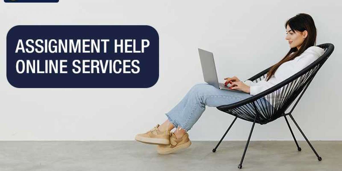 Expert Writers in the USA Provide Assignment Help Online