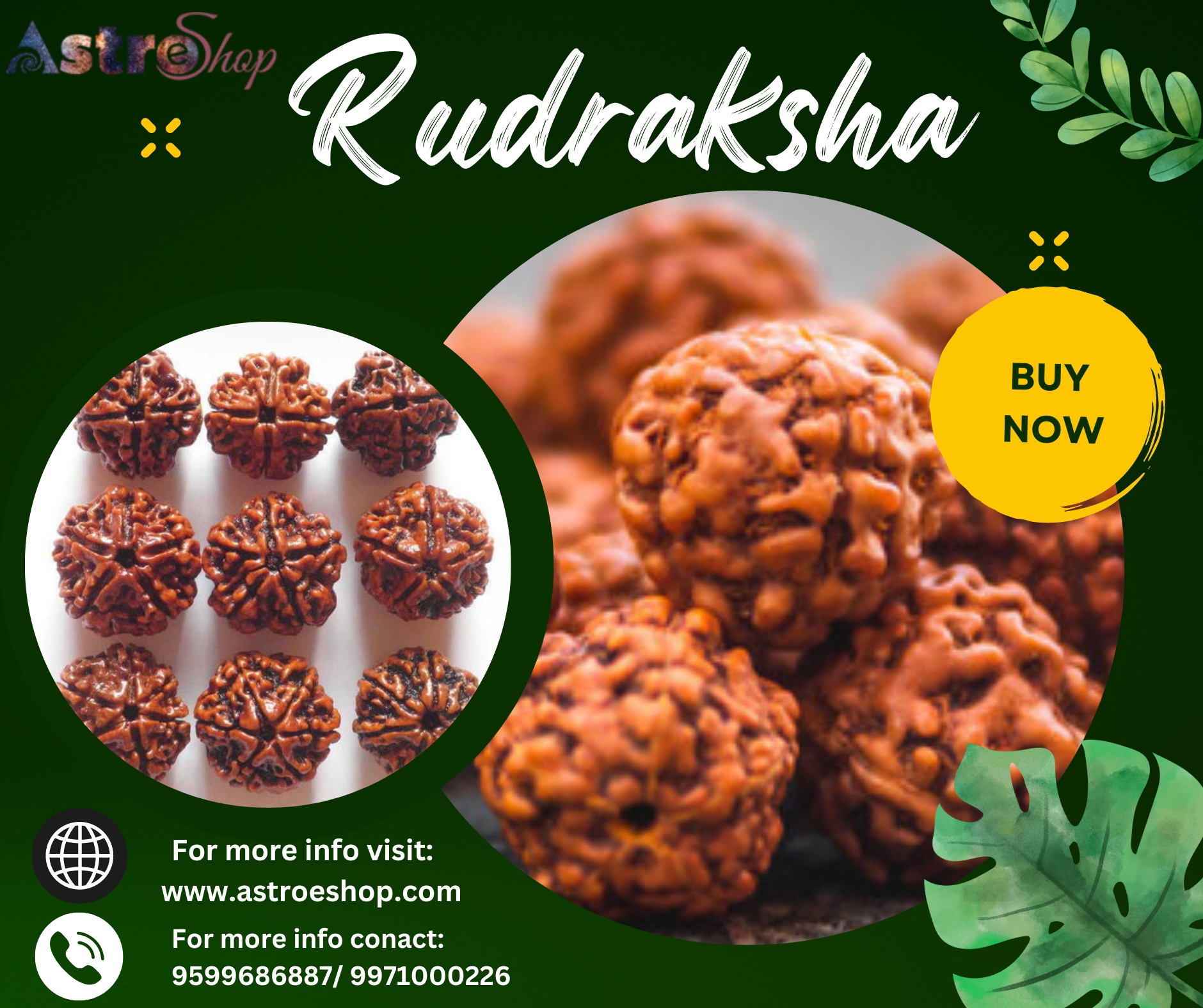 Wellness Beads: Rudraksha Health Benefits Revealed