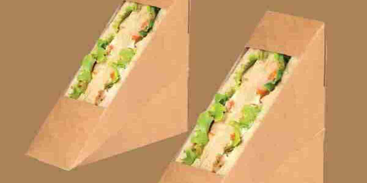 Lunchtime Revolution: Reinventing the Cardboard Sandwich Box