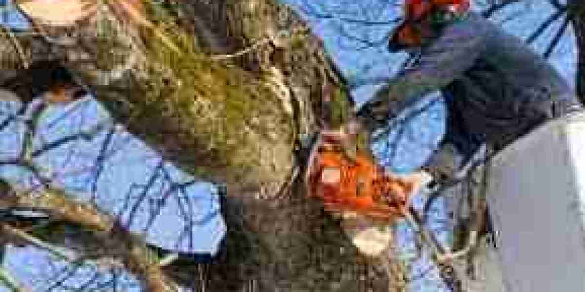 Why Tree Pruning Matters: Unveiling the Impact on Landscape Aesthetics?