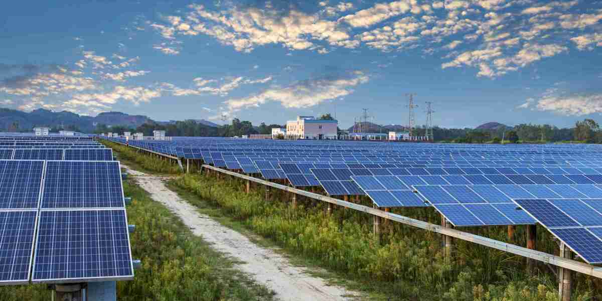 Mons Solar: extremely profitable investments