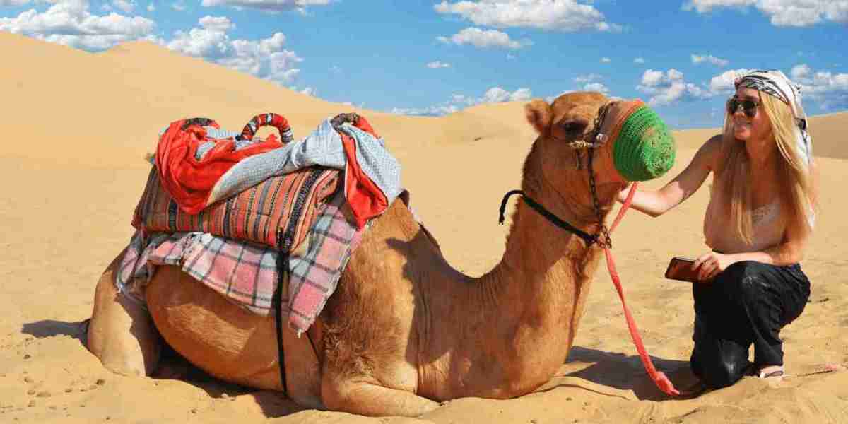 Welcome to the Unforgettable Desert Safari Adventures in Abu Dhabi