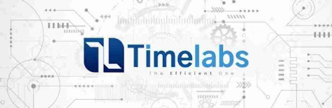 Timelabs Cover Image