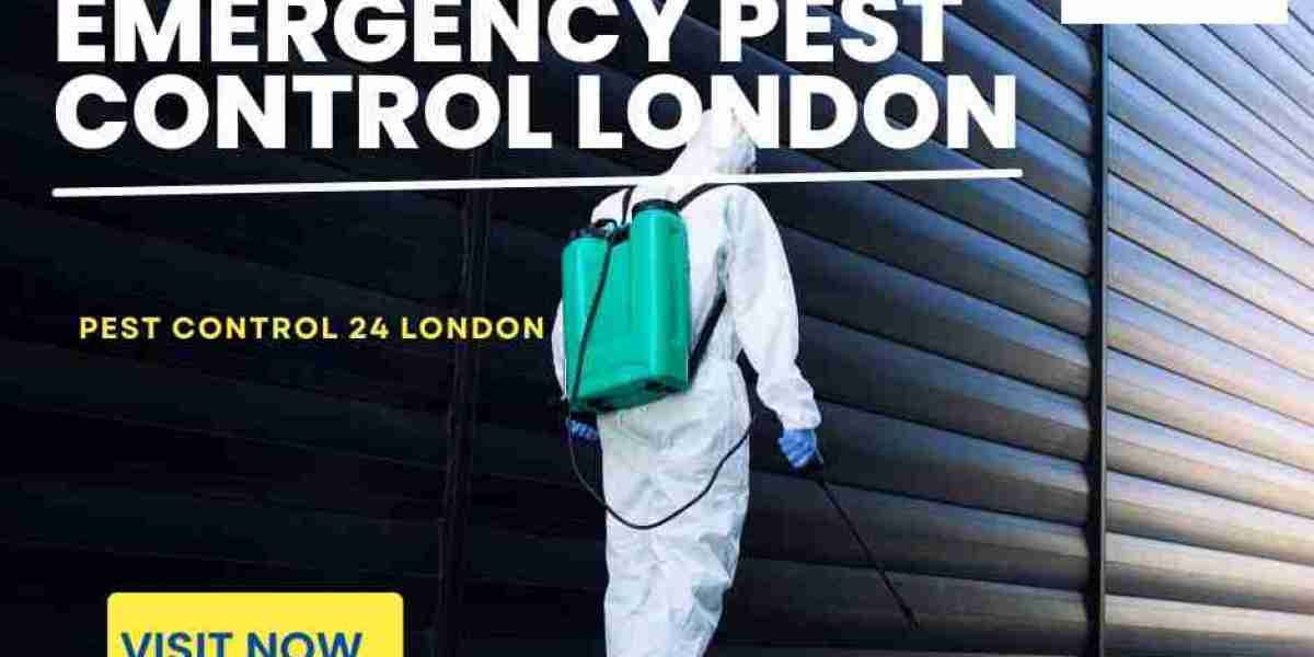 Emergency Pest Control London: Rapid Solutions for Urgent Pest Problems