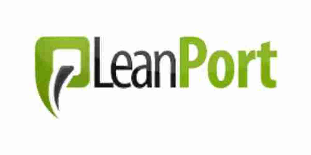 Professional Website Erstellen lassen | LeanPort