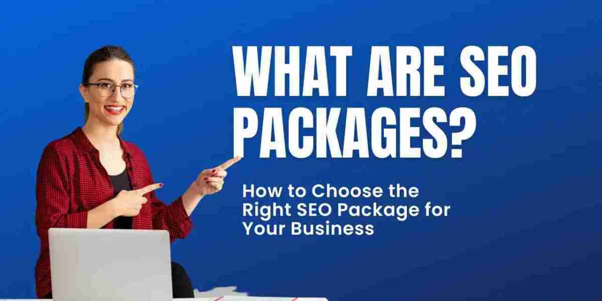 Which SEO package suits your business needs?