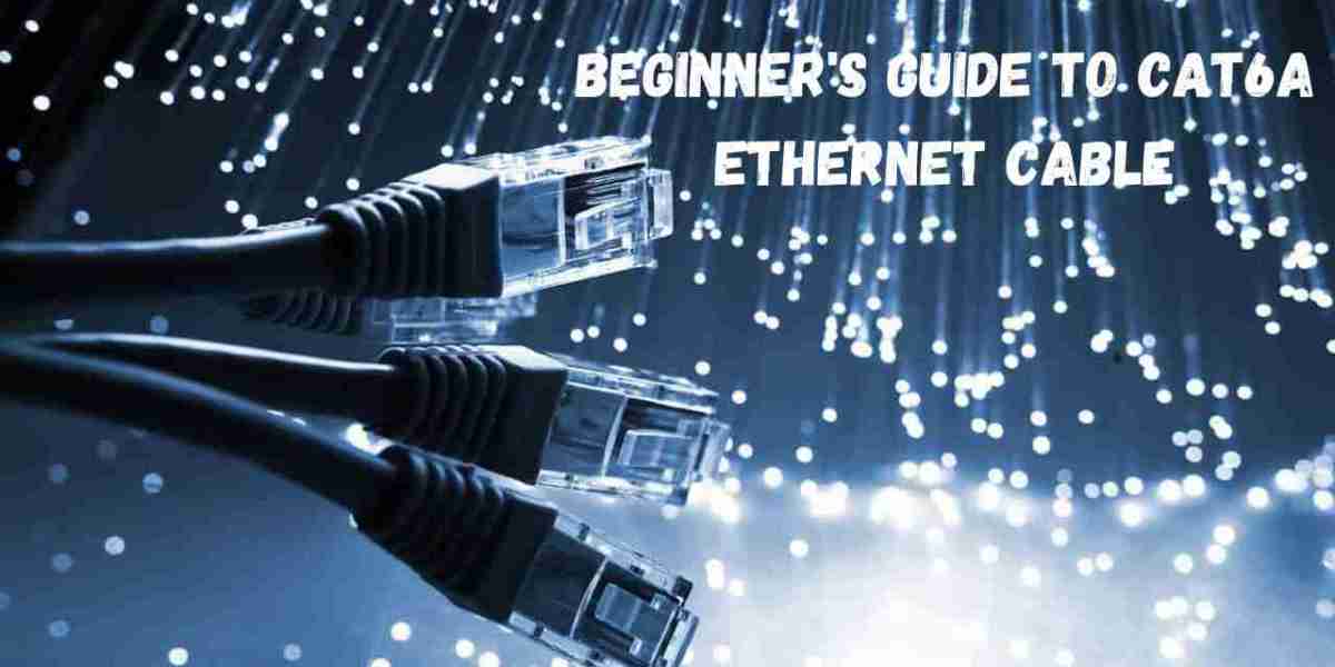 Beginner's Guide to Cat6a Ethernet Cable and Its Types