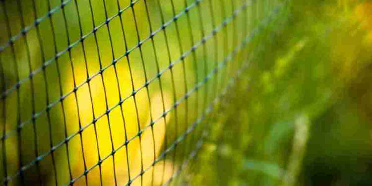 The Sustainable Surge: Exploring the Environmental Benefits of Plastic Fencing 