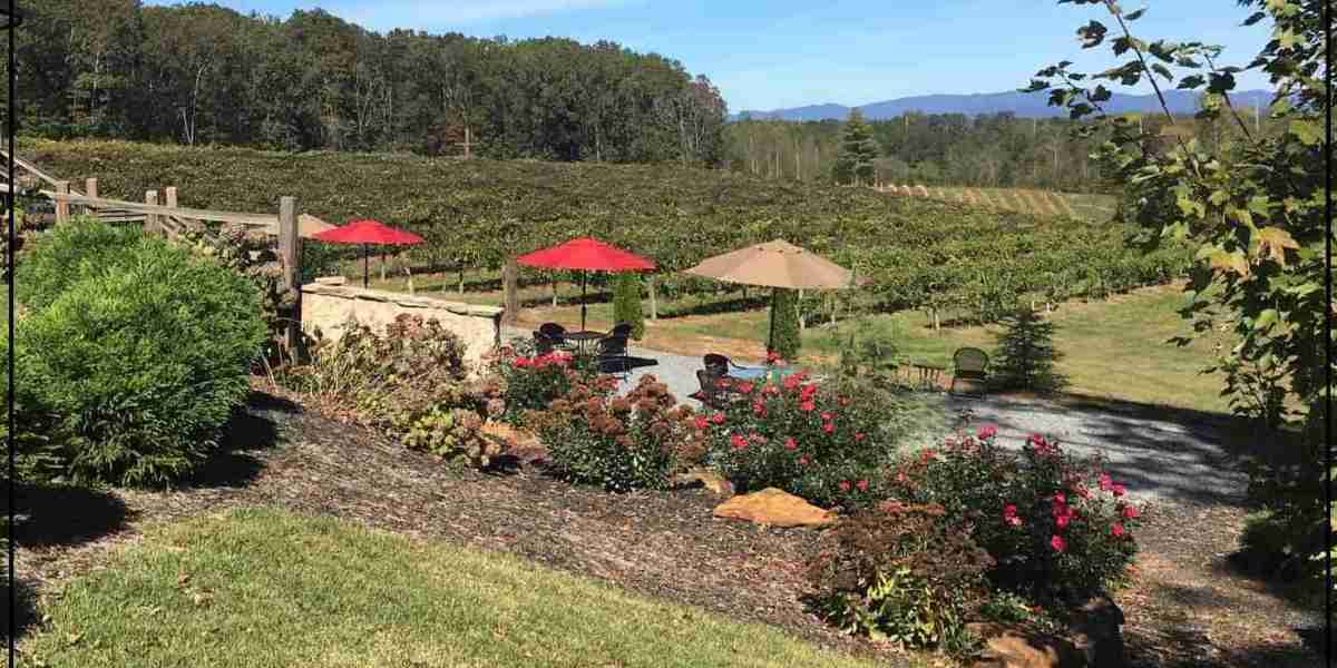 Discover Ellijay Wineries Option for An Amazing Daytime