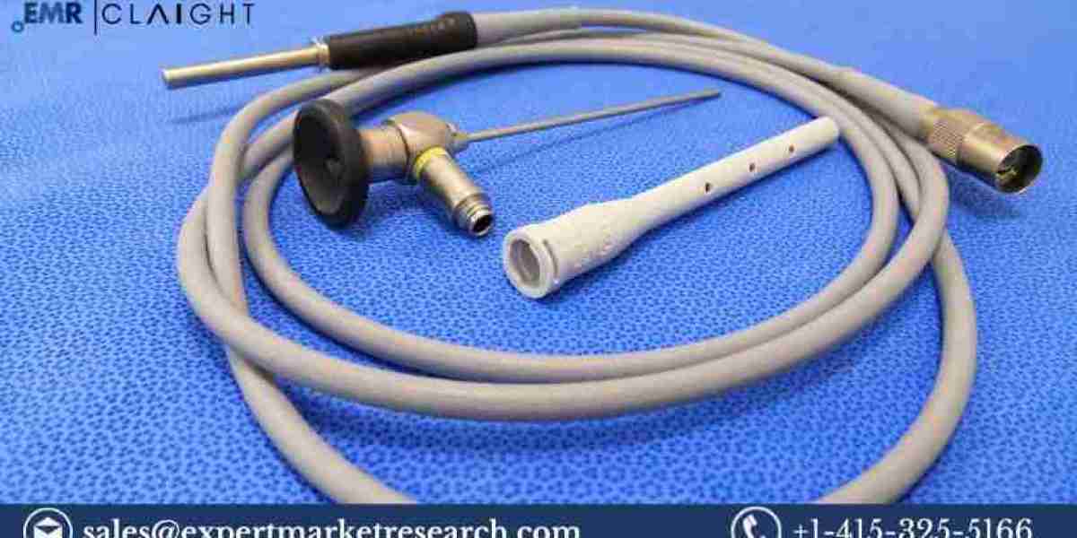 Rigid Endoscopes Market Size, Share, Trends, Growth, Analysis, Report and Forecast 2024-2032