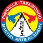 Pinnacle Martial Art Profile Picture