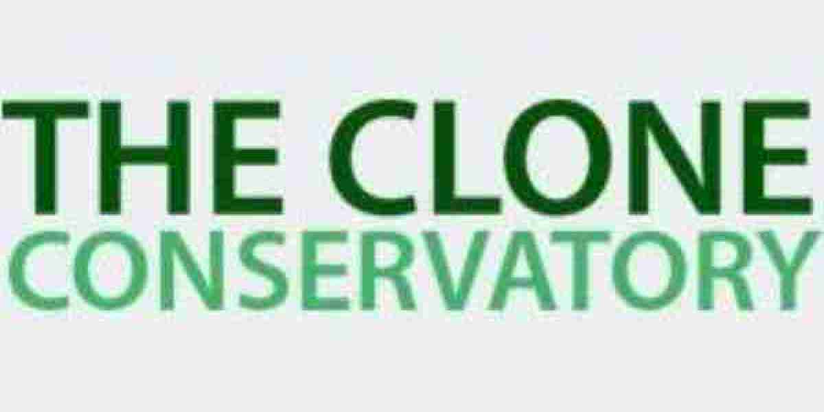 Browse Premium Cannabis Seeds for Sale at The Clone Conservatory