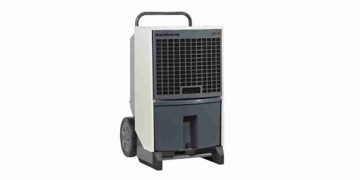 Transforming Your Environment: Finding the Perfect Dehumidifier Singapore