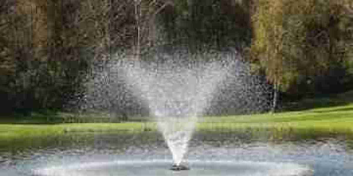 Maximize Your Pond's Health: How to Choose the Perfect Aeration Pump