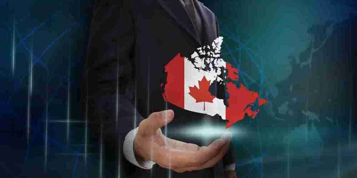 Navigating Canada Immigration Consultant Services: Mds Consulting