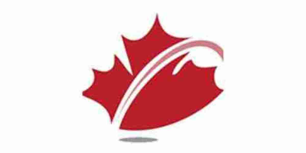 Navigating Canada Tourist Visa Requirements with MDS Consulting