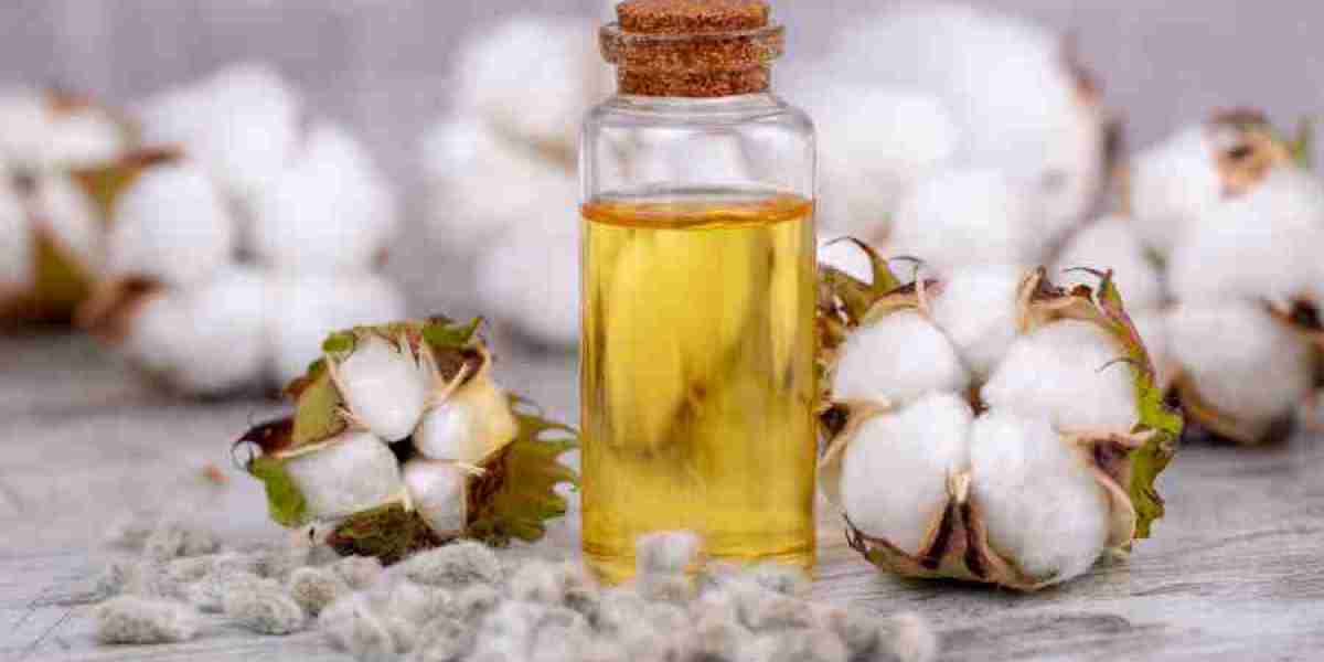 Cottonseed Oil Manufacturing Plant Project Report 2024: Raw Materials Requirement, Setup Cost and Revenue