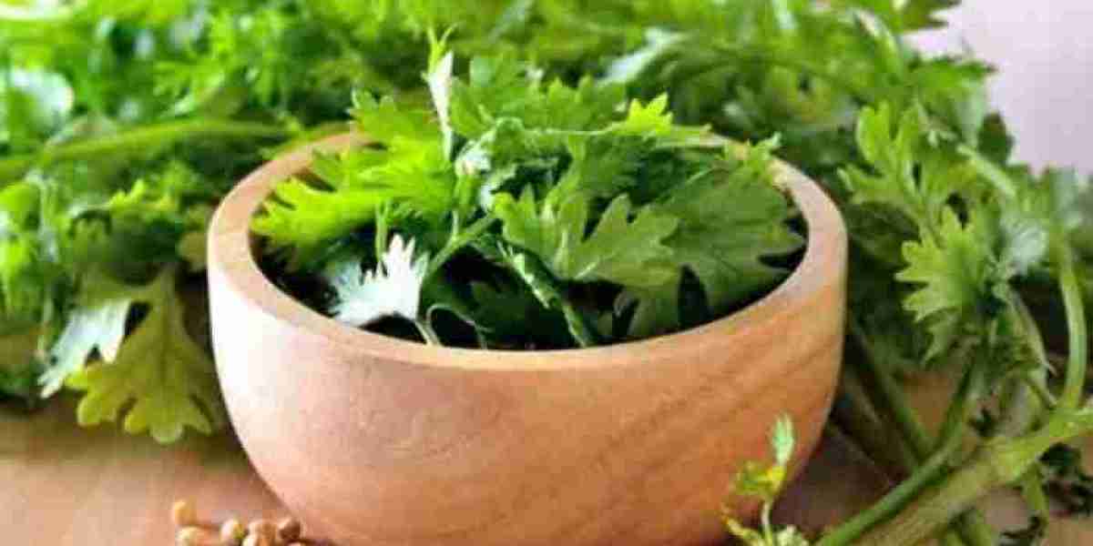 What Are The Health Benefits Of Coriander Seeds?