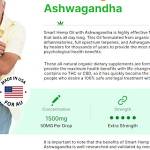aashvidewis Profile Picture