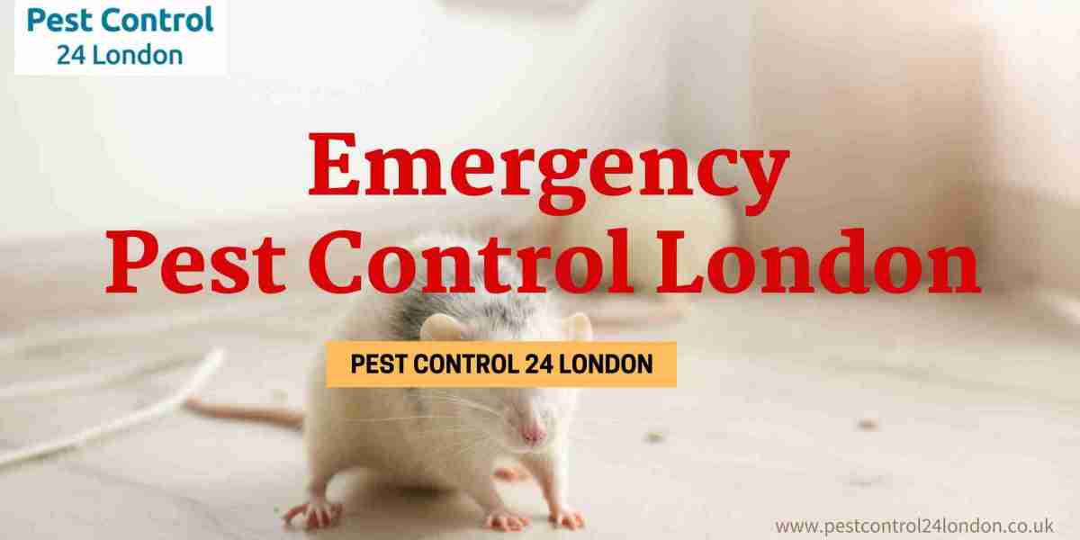 Pest Control Quick and Reliable Solutions in London