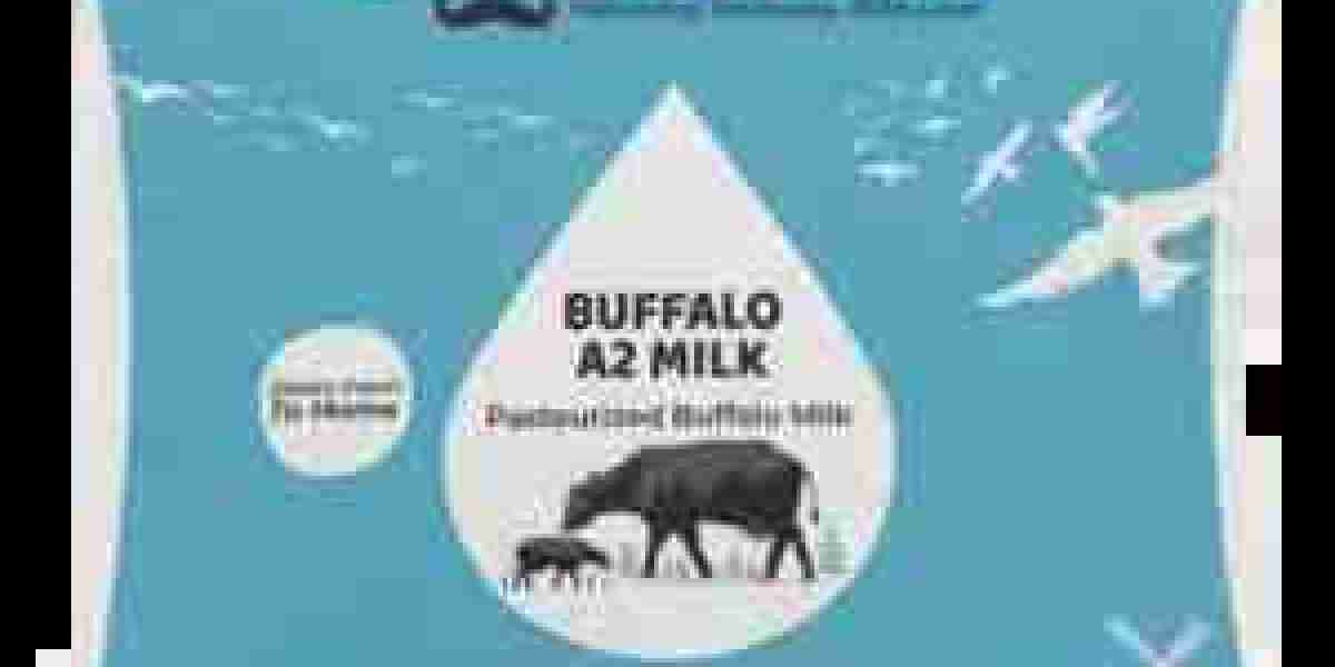 Exploring the Richness of Buffalo Milk: A Guide to Its Benefits and Uses