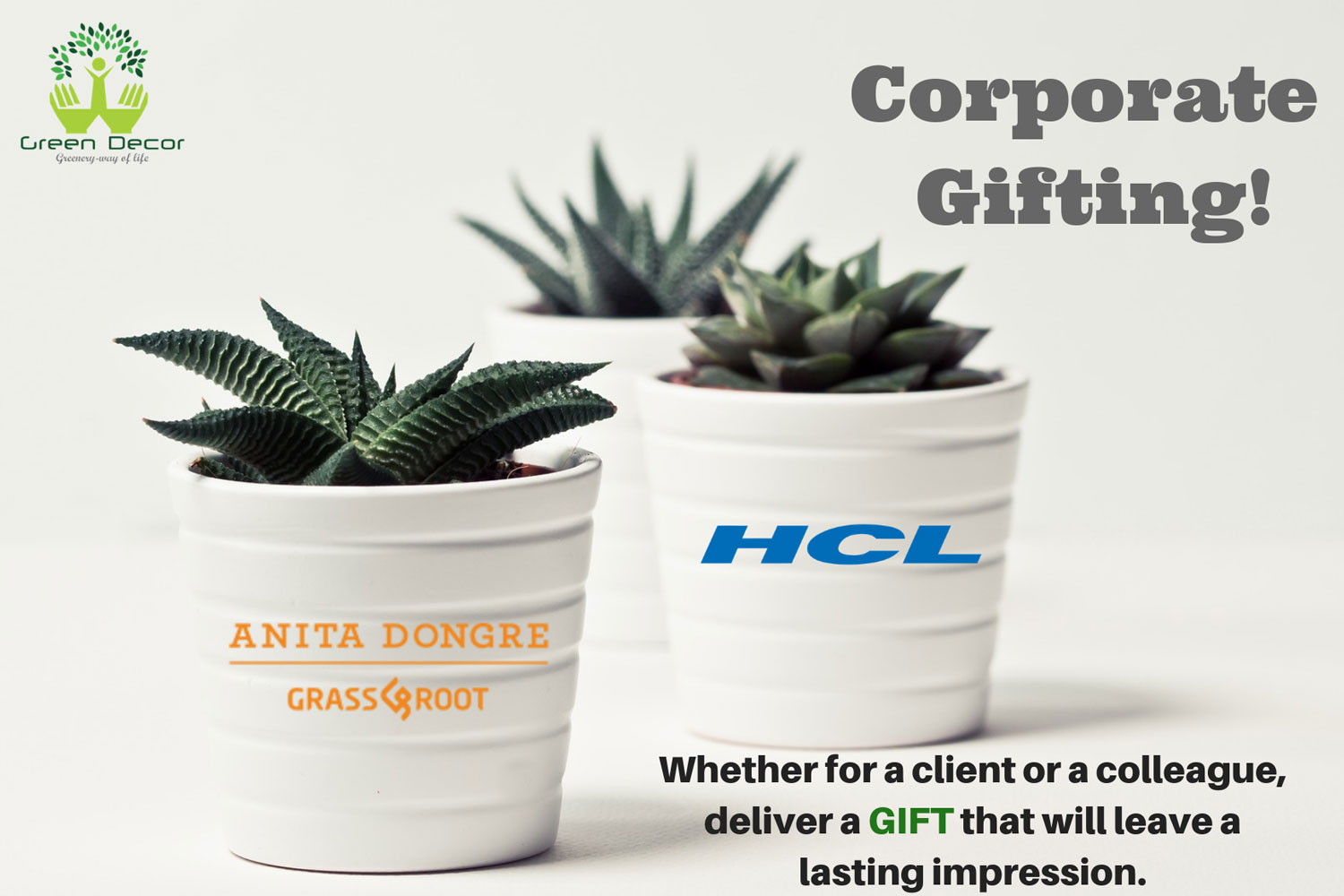 Corporate Gifting Plants In Delhi, Eco-Friendly Corporate Gifting | Green Decor
