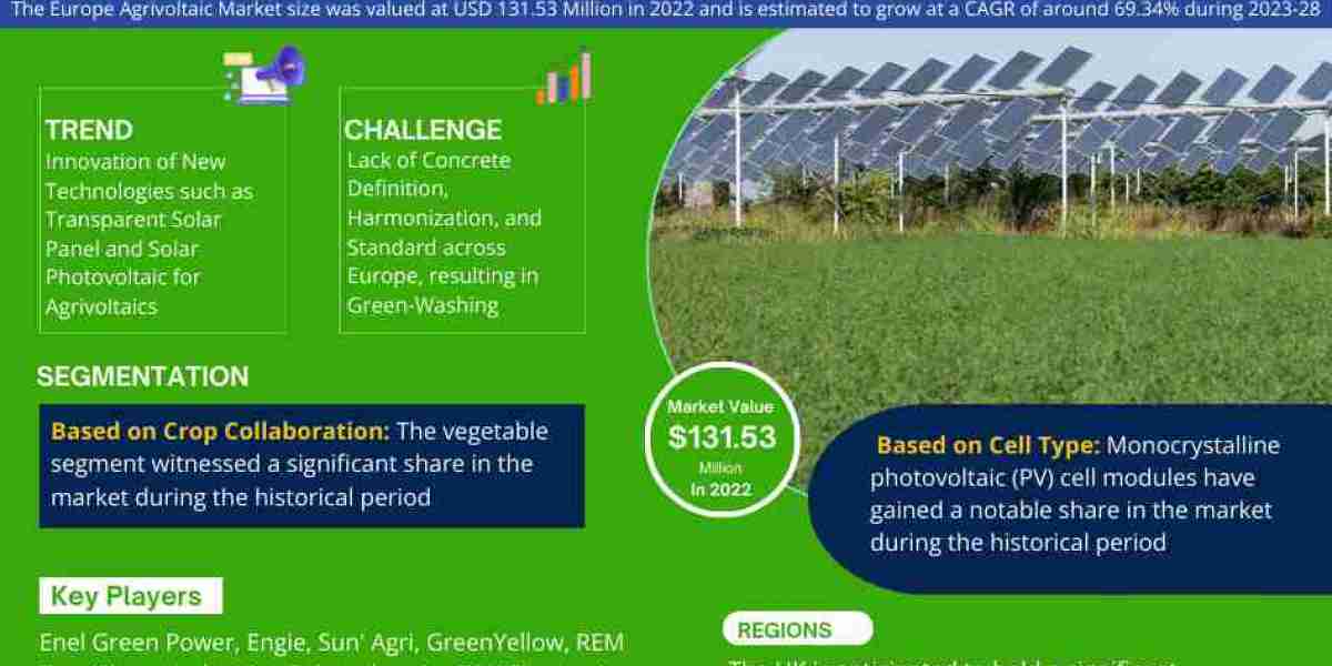 Europe Agrivoltaic Market Research: Analysis of a Deep Study Forecast 2028 for Growth Trends, Developments