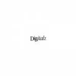 DIGITALZ A G COMPUTER SOFTWARE TRADING LLC Profile Picture