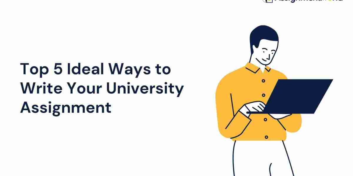 5 Creative Ideas for Assignment Writing for University Students: Guide by Lucy Martin