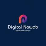 Digital Nawab Profile Picture