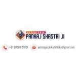 Astrologer Pankaj Shastry Ji Profile Picture