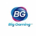 BG Live Casino Profile Picture