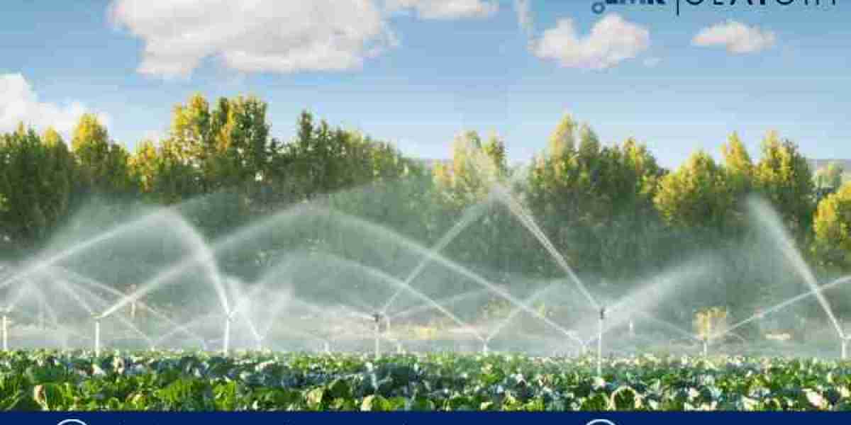 Precision Growth: Navigating the Evolving Landscape of Micro Irrigation Systems Market