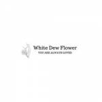 whitedewflower Profile Picture