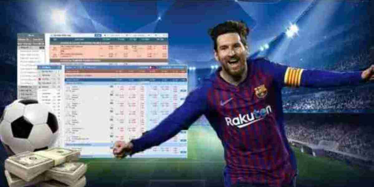 Guide to Winning Quickly and Making Accurate Bets in Football Betting