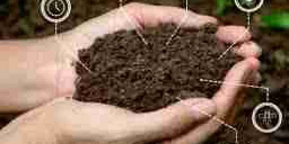 Global Humic Acid Market Share, Growth, Latest Trends, Report 2024-2032