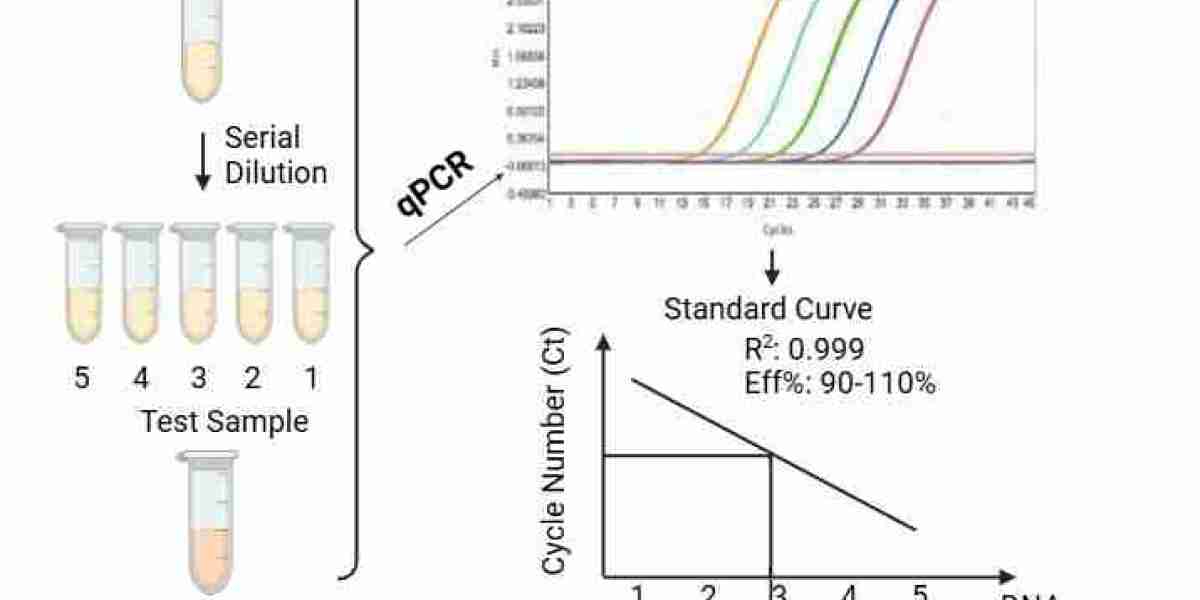 Enhanced Viral Nucleic Acid Residue Assay Kits for Biopharmaceutical Manufacturing