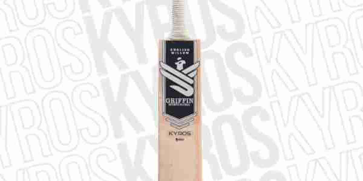 Choosing the Best Website to Buy Cricket Bat Online in the UK