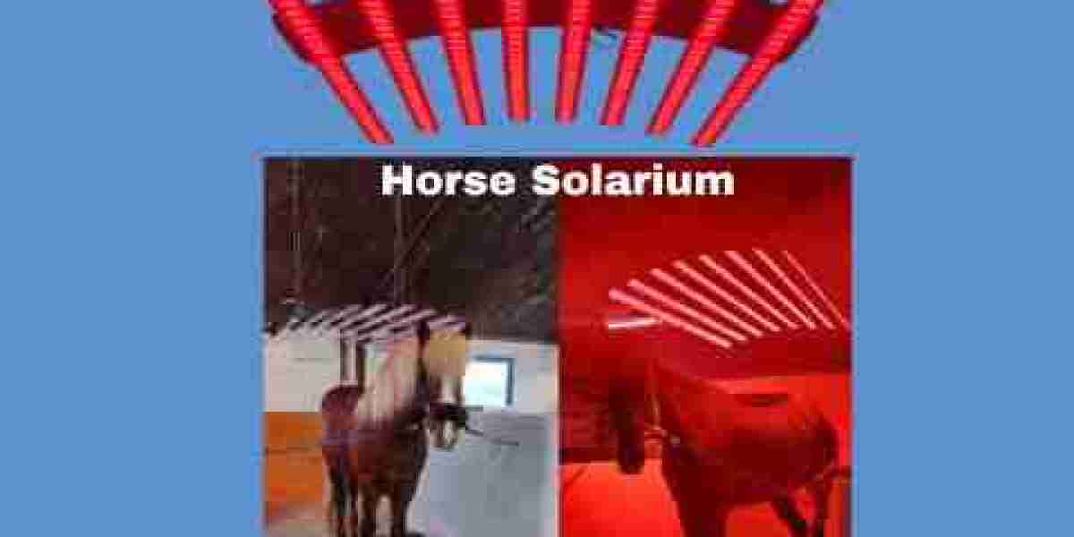 Enhance Your Horse’s Health and Performance with a Premium Horse Solarium
