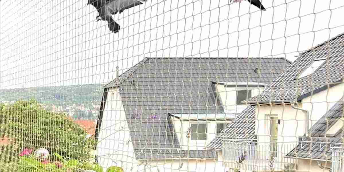 Bird Spikes in Dubai The Ultimate Guide to Effective Pest Control