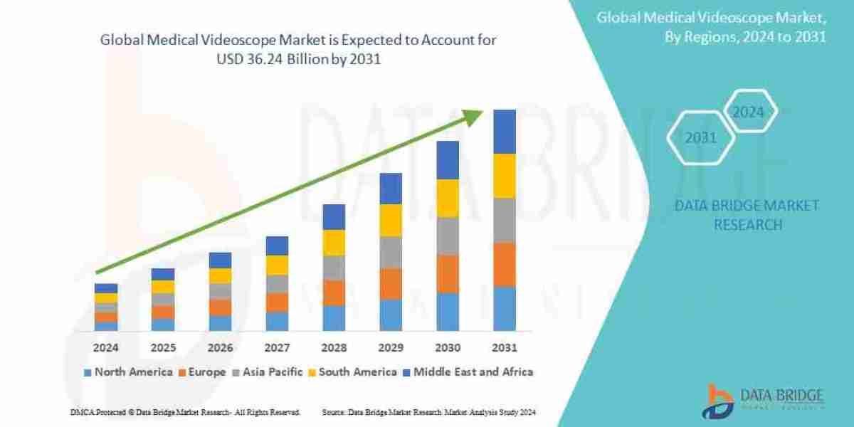 Medical Videoscope Market Insights: Growth, Share, Value, Size, and Trends