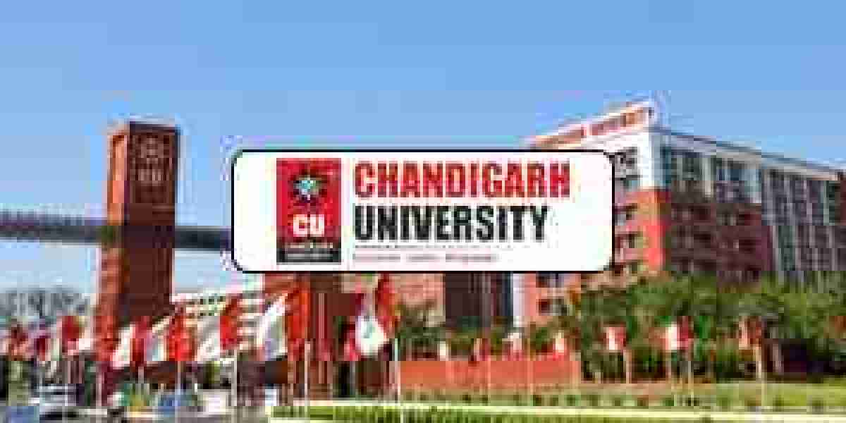 Discover Excellence with Chandigarh University Online: Your Gateway to Flexible Learning