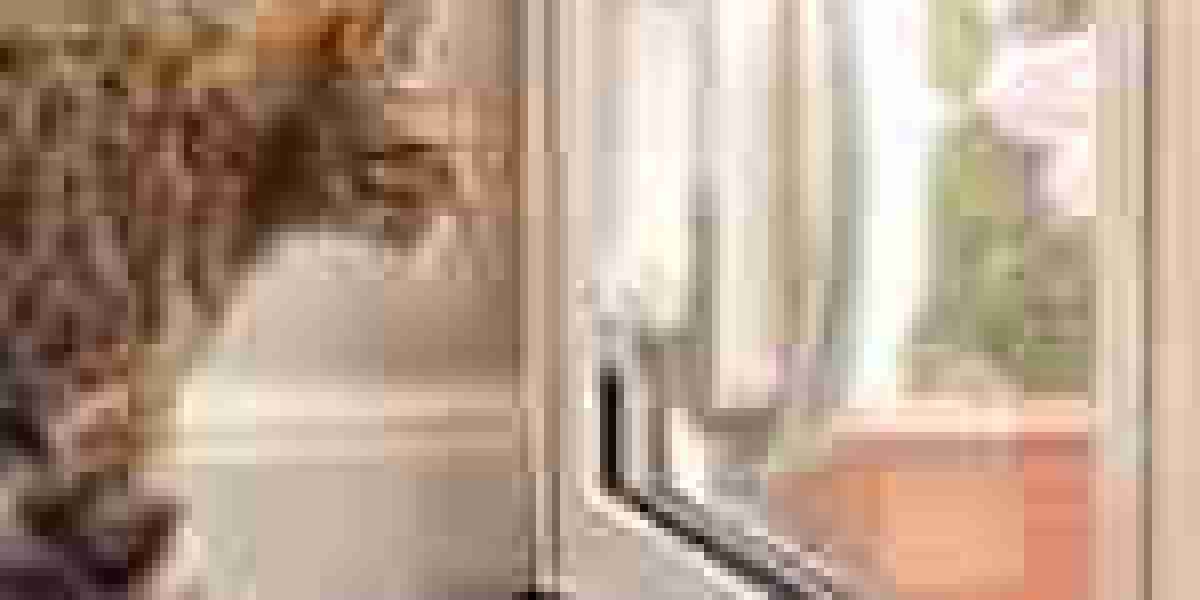 20 Fun Details About Cat Door Installation