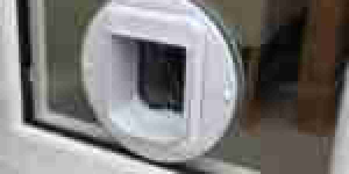 15 Best Cat Flap Installer Company Bloggers You Must Follow
