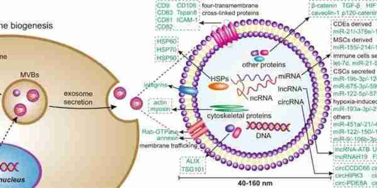 Comprehensive Suite of Exosome Modification Products to Advance Research