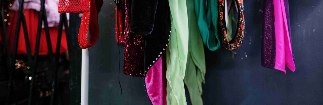 The Fancy Dress Cover Image