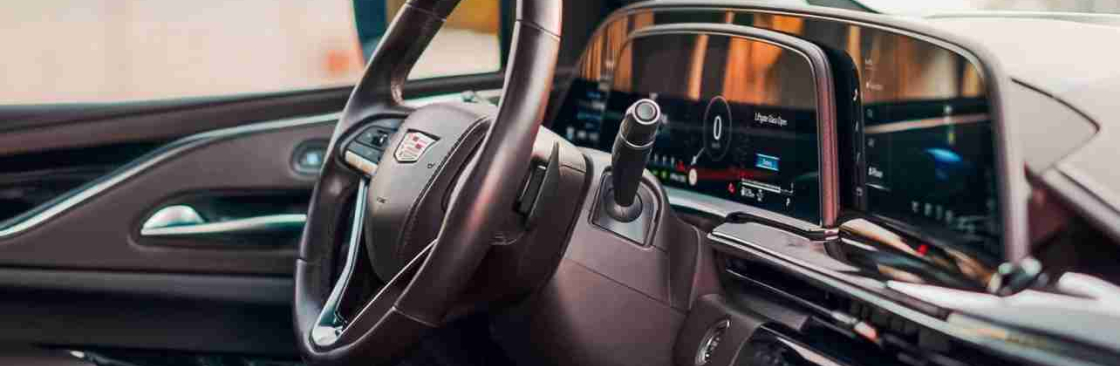 vviptoronto limo Cover Image