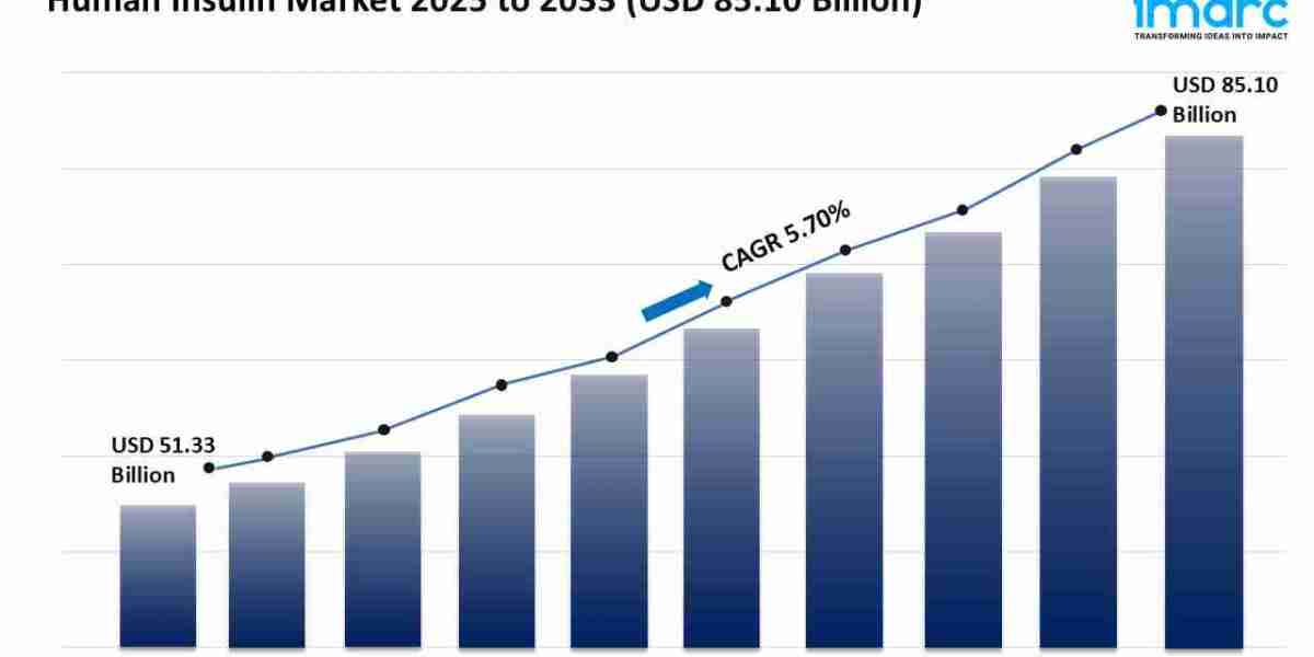 Human Insulin Market Trends, Growth, and Forecast 2025-2033