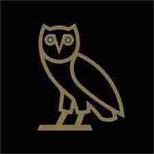 Octobers Very Own Drake Profile Picture