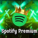 spotimody Apk Profile Picture